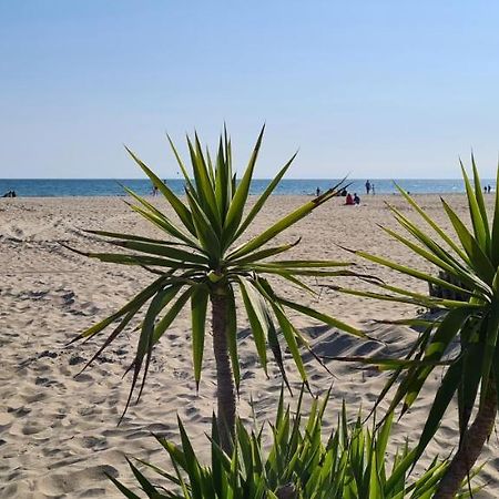 Joli T2 Avec Jardin Plage Richelieu - 6 Personnes Agde Exterior foto